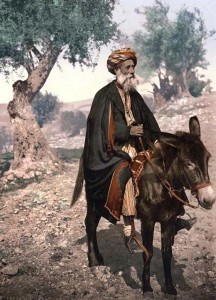 Old man on a donkey, late 19th century